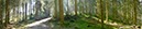 %_tempFileNamegschwendwald%20005%20hell%