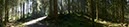 %_tempFileNamegschwendwald%20005%