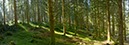 %_tempFileNamegswendwald%20003%