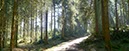 %_tempFileNamegswendwald%20004%