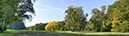 %_tempFileNameherbst_mit_gelbem_baum%