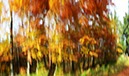 %_tempFileNameherbstfarben%