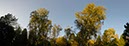 %_tempFileNameherbstliche_birken%