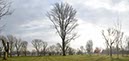 %_tempFileNameherbstliches%20rheinufer%