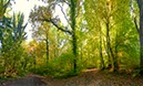 %_tempFileNameherbstwald_17_1%