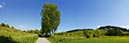 %_tempFileNamehimmelweg%20baum%201%