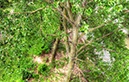 %_tempFileNamerhein%20ufer%