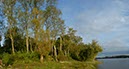 %_tempFileNamerheinufer%20abendstimmung%20gelb%